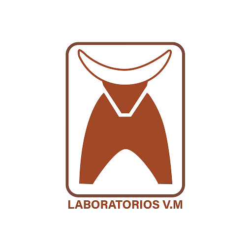 Laboratorios VM
