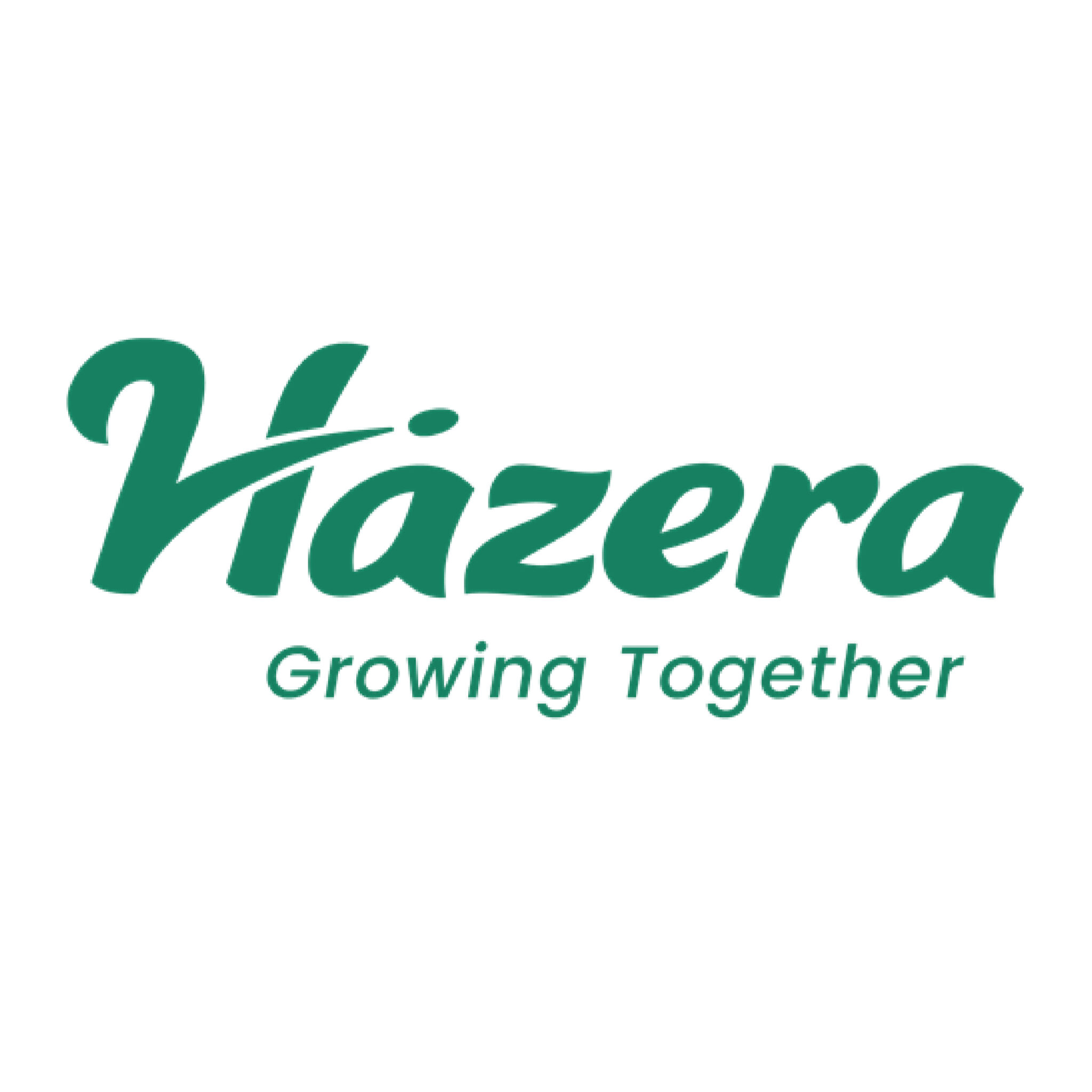 Hazera